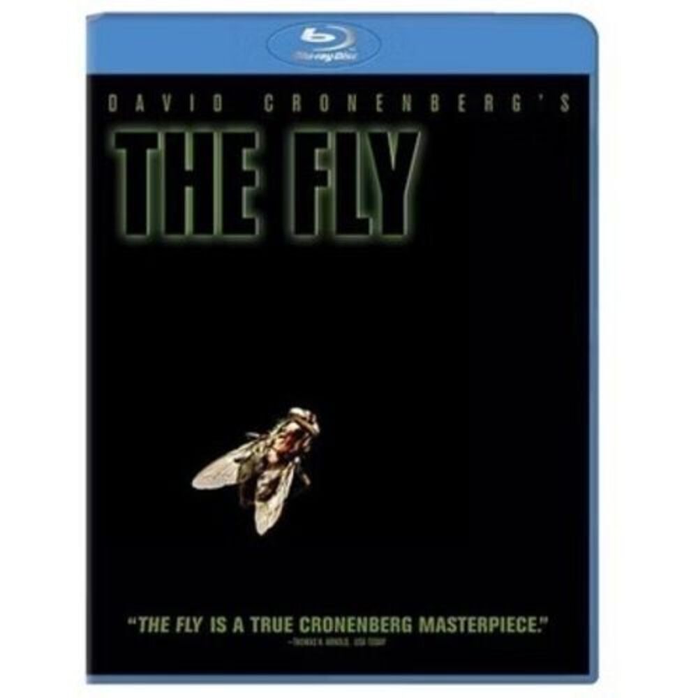 Fly